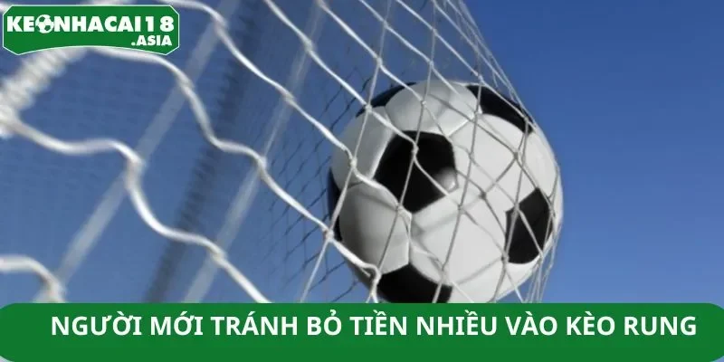 Người mới tránh bỏ tiền nhiều vào kèo rung